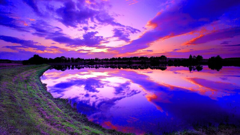 Purple Sunset over Pond — Dramatic, Photograph