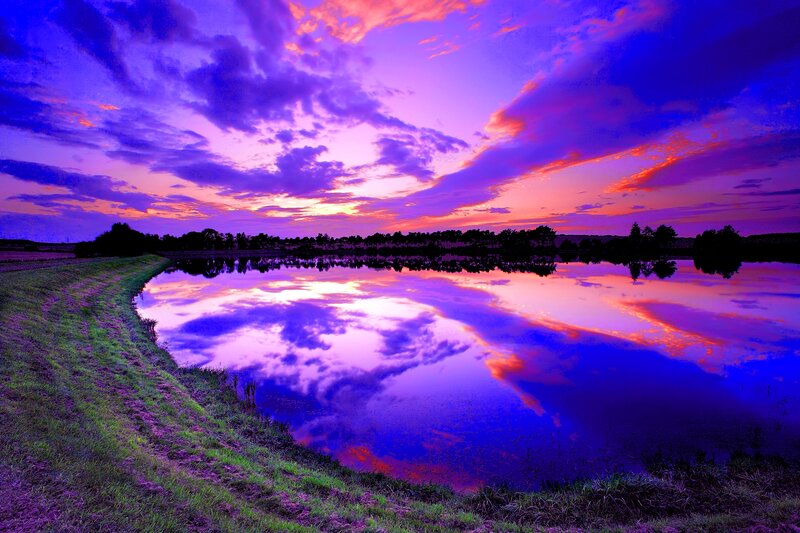 Purple Sunset over Pond — Dramatic