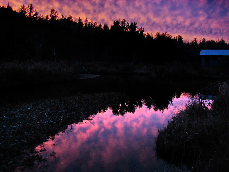 Purple Sunset over Pond