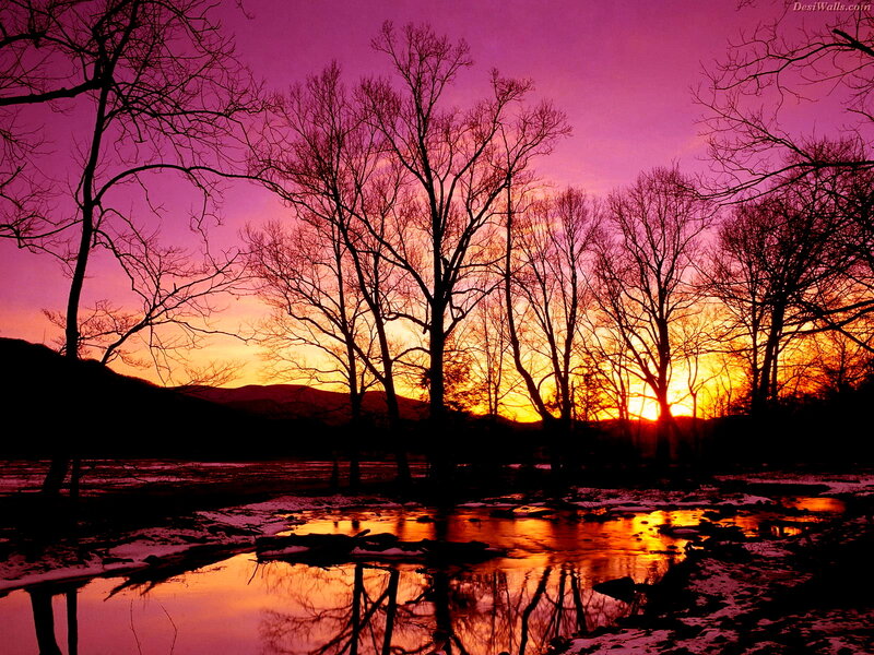Purple sunset over river