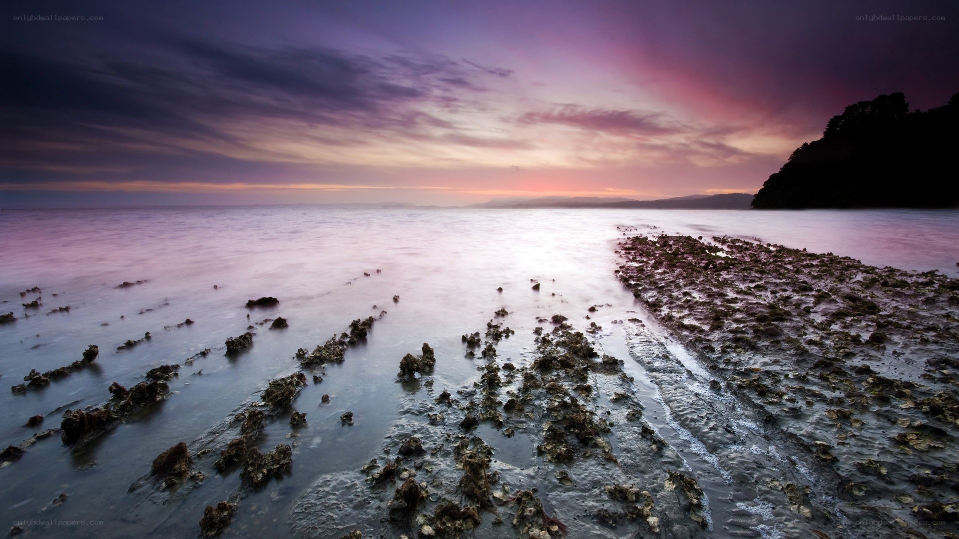 Purple sunset over rocky shore