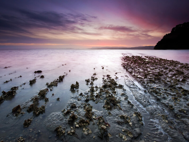 Purple sunset over rocky shore