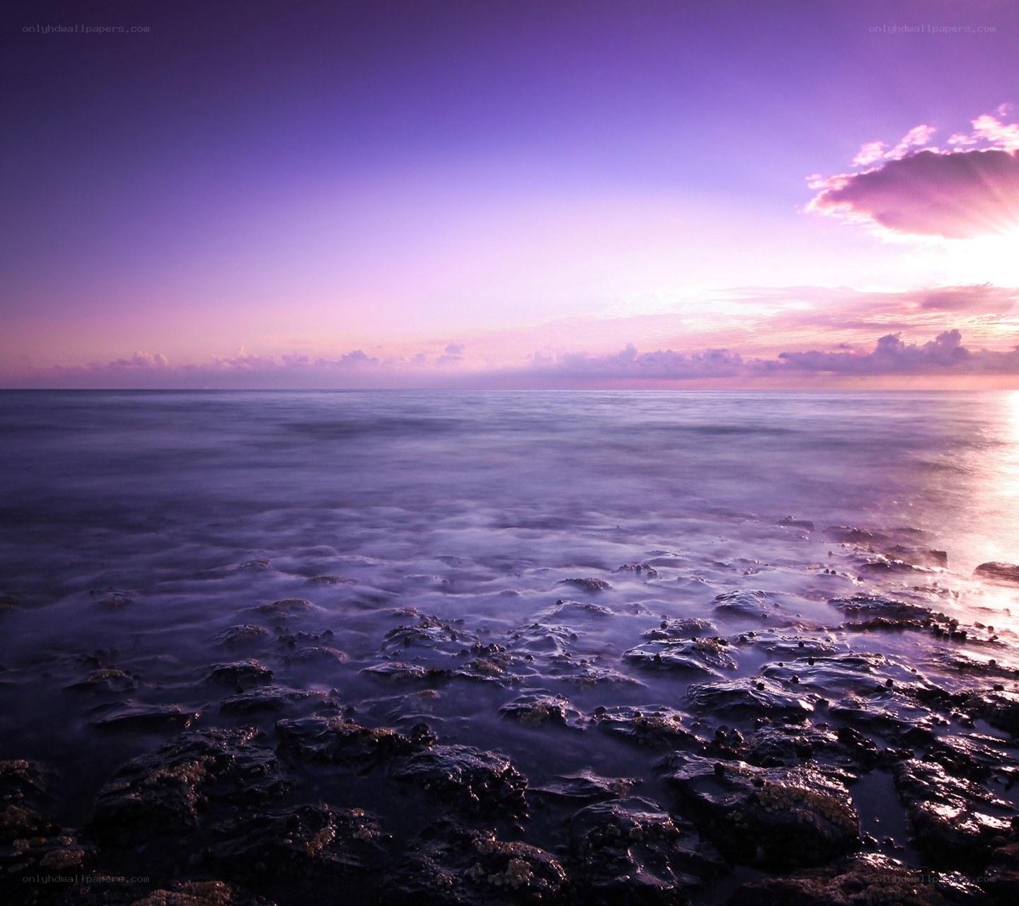Purple sunset over rocky shore