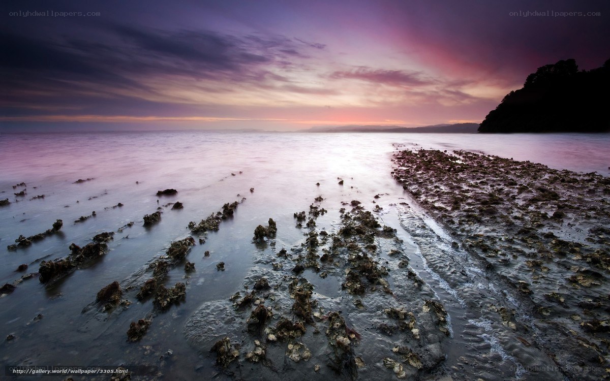 Purple sunset over rocky shore