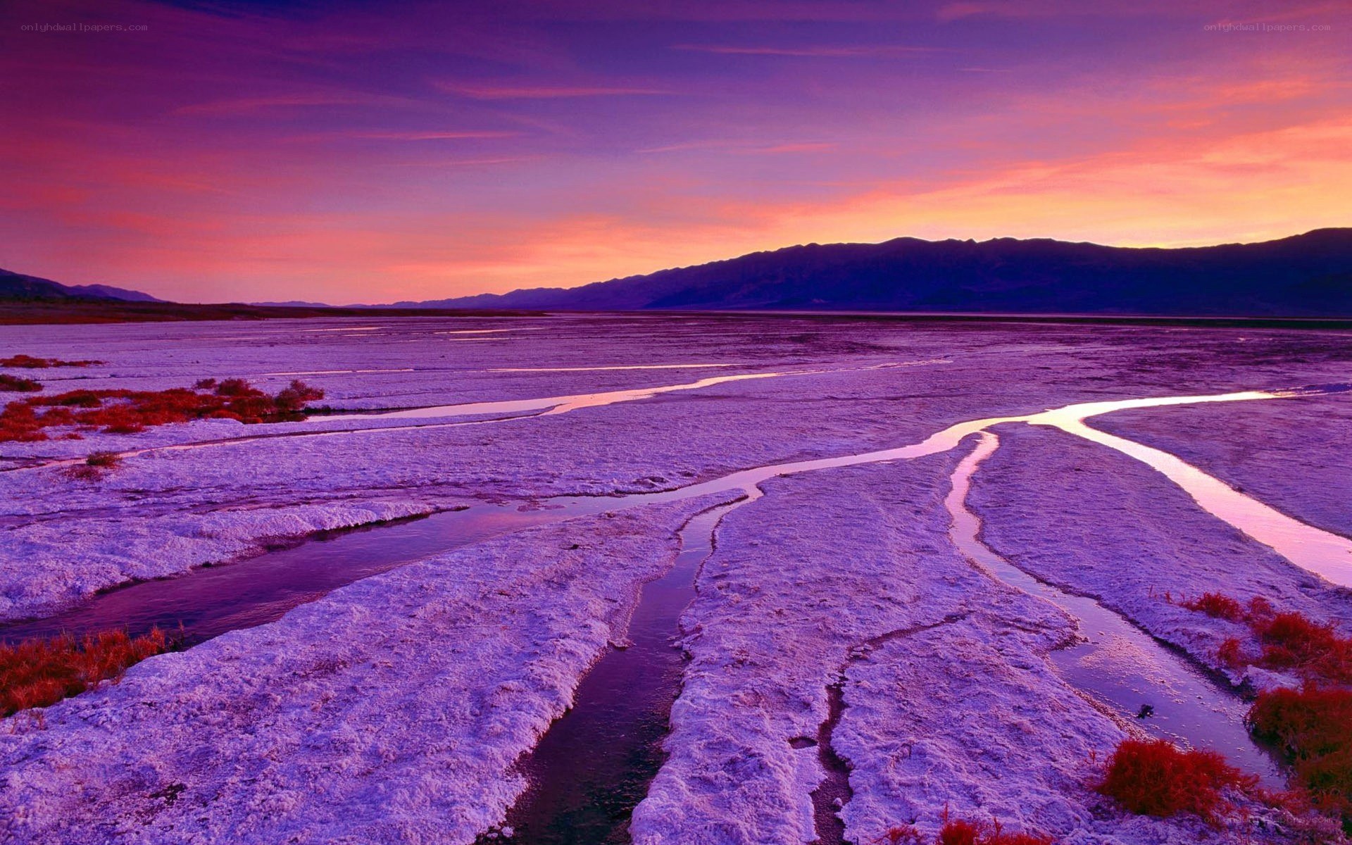 Purple sunset over salt flats