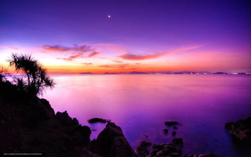 Purple Sunset over Sea — Serene, Photograph, Trees