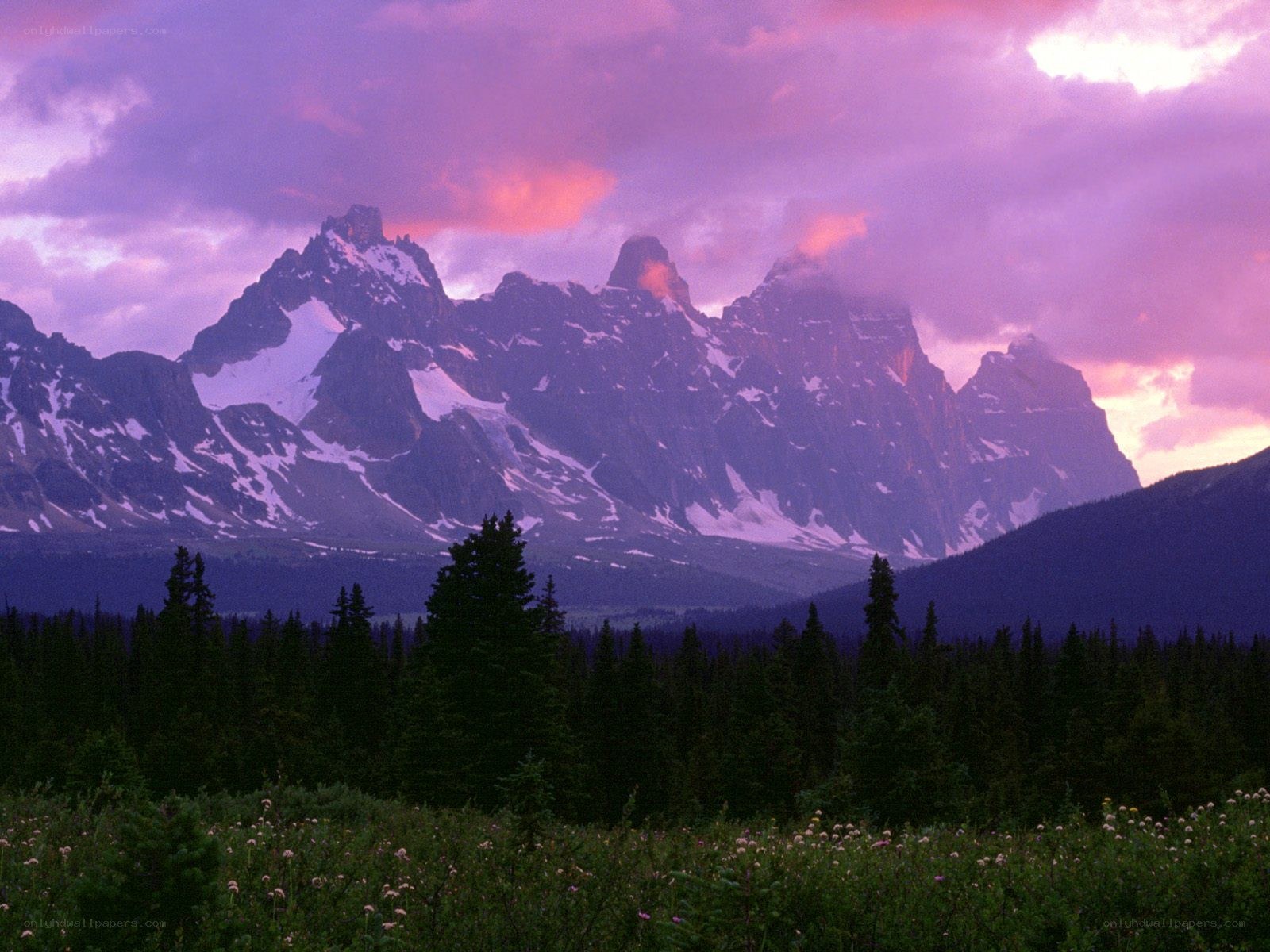 Purple sunset over snow-capped mountains