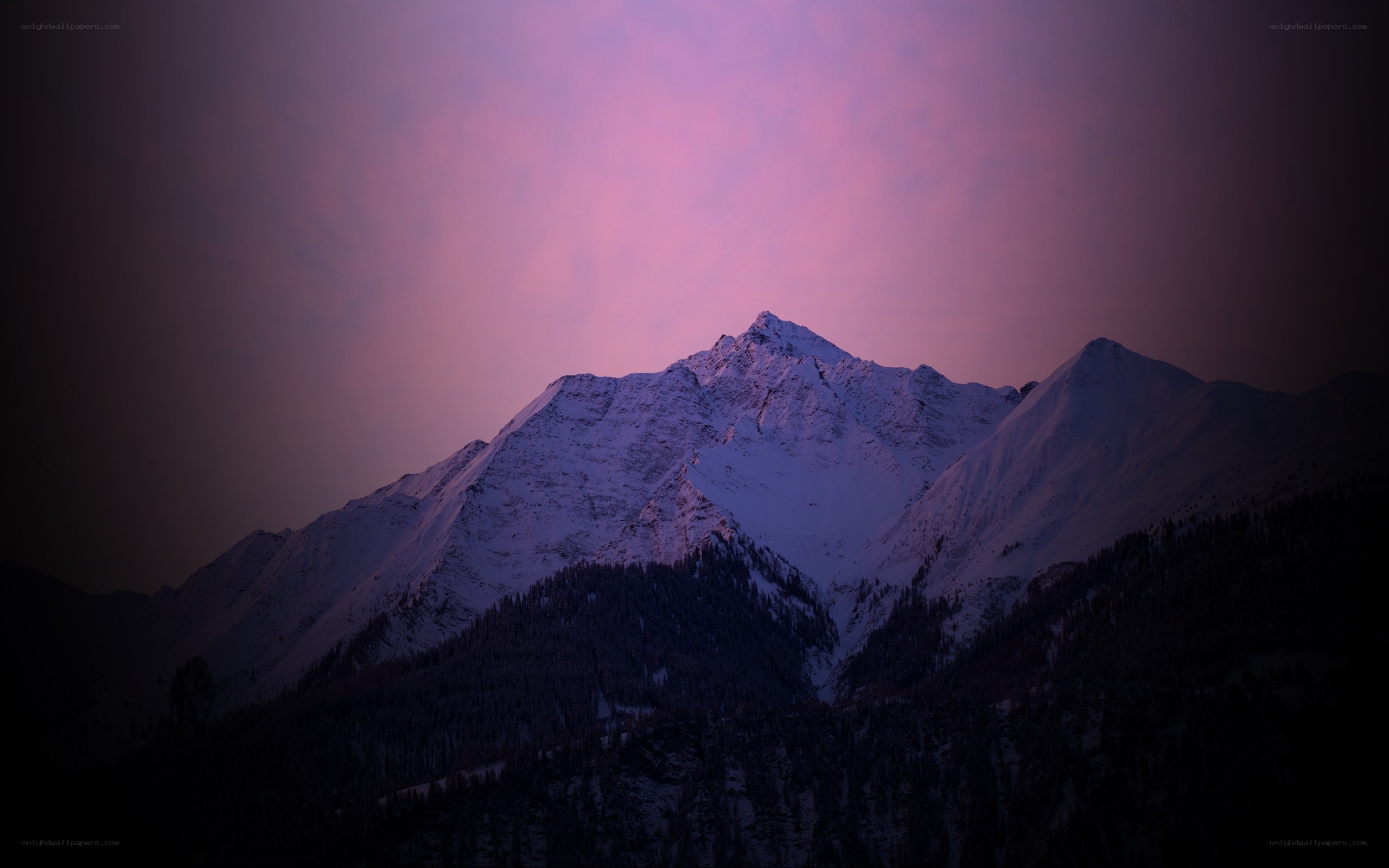 Purple sunset over snow-capped mountains