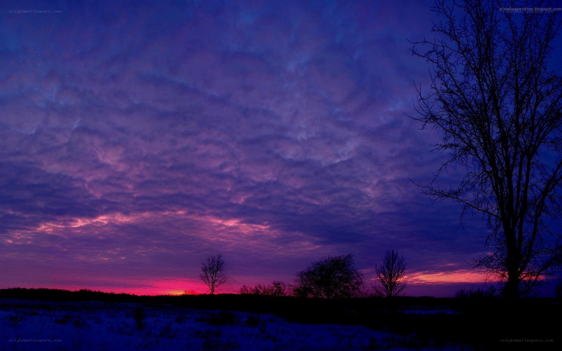 Purple sunset over snowy field