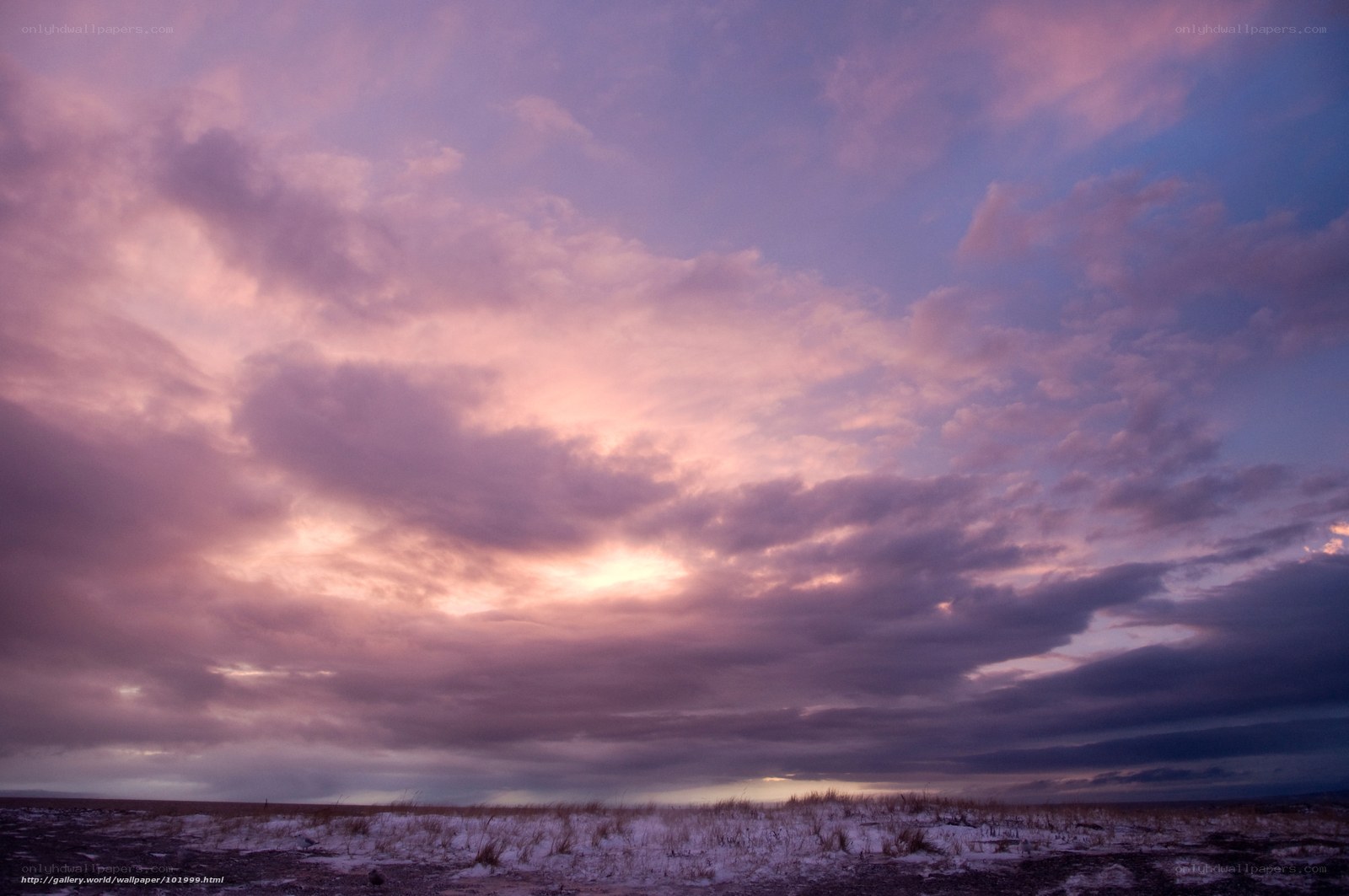 Purple sunset over snowy field