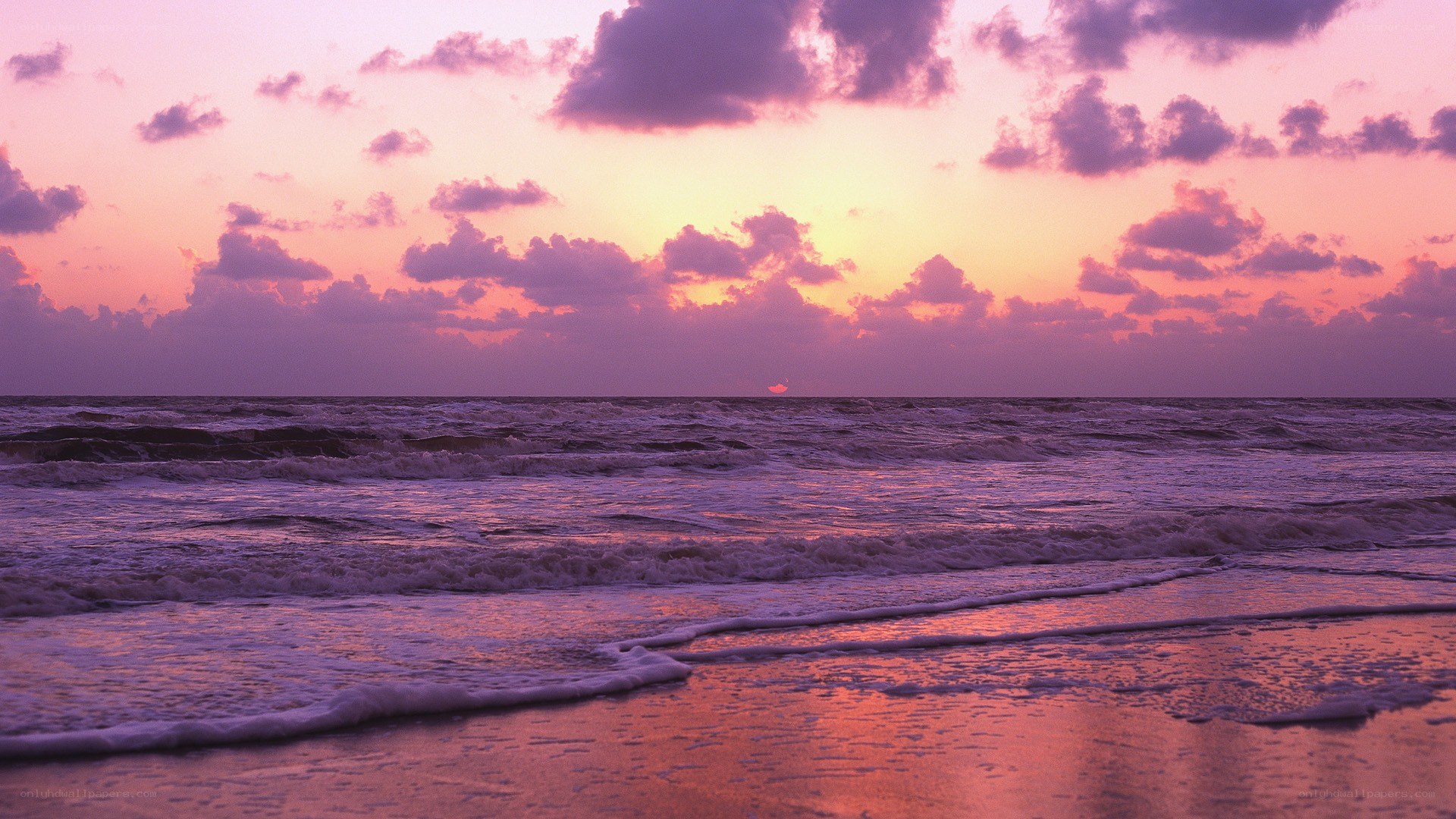 Purple sunset over the ocean