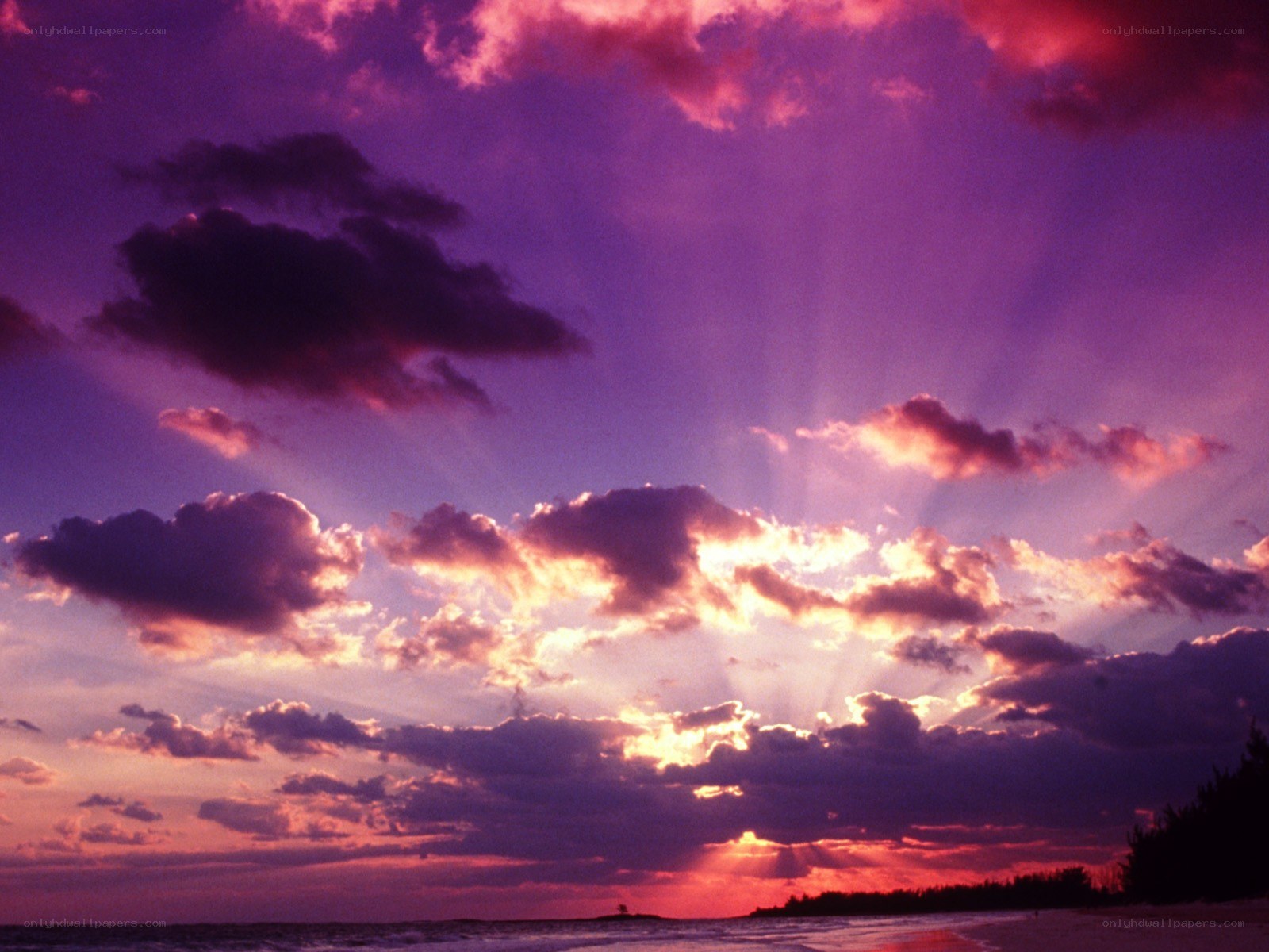 Purple sunset over the ocean