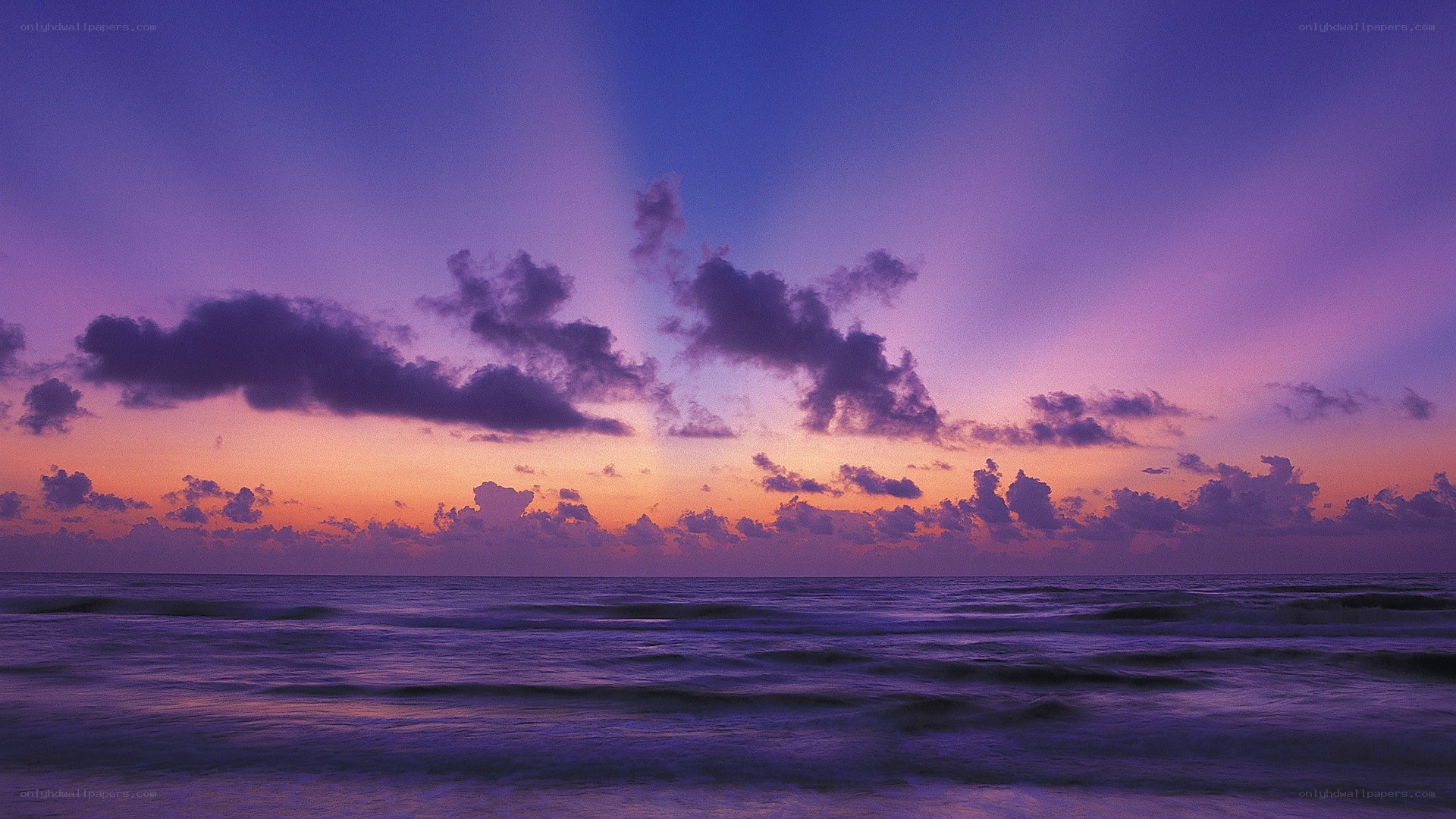 Purple sunset over the ocean