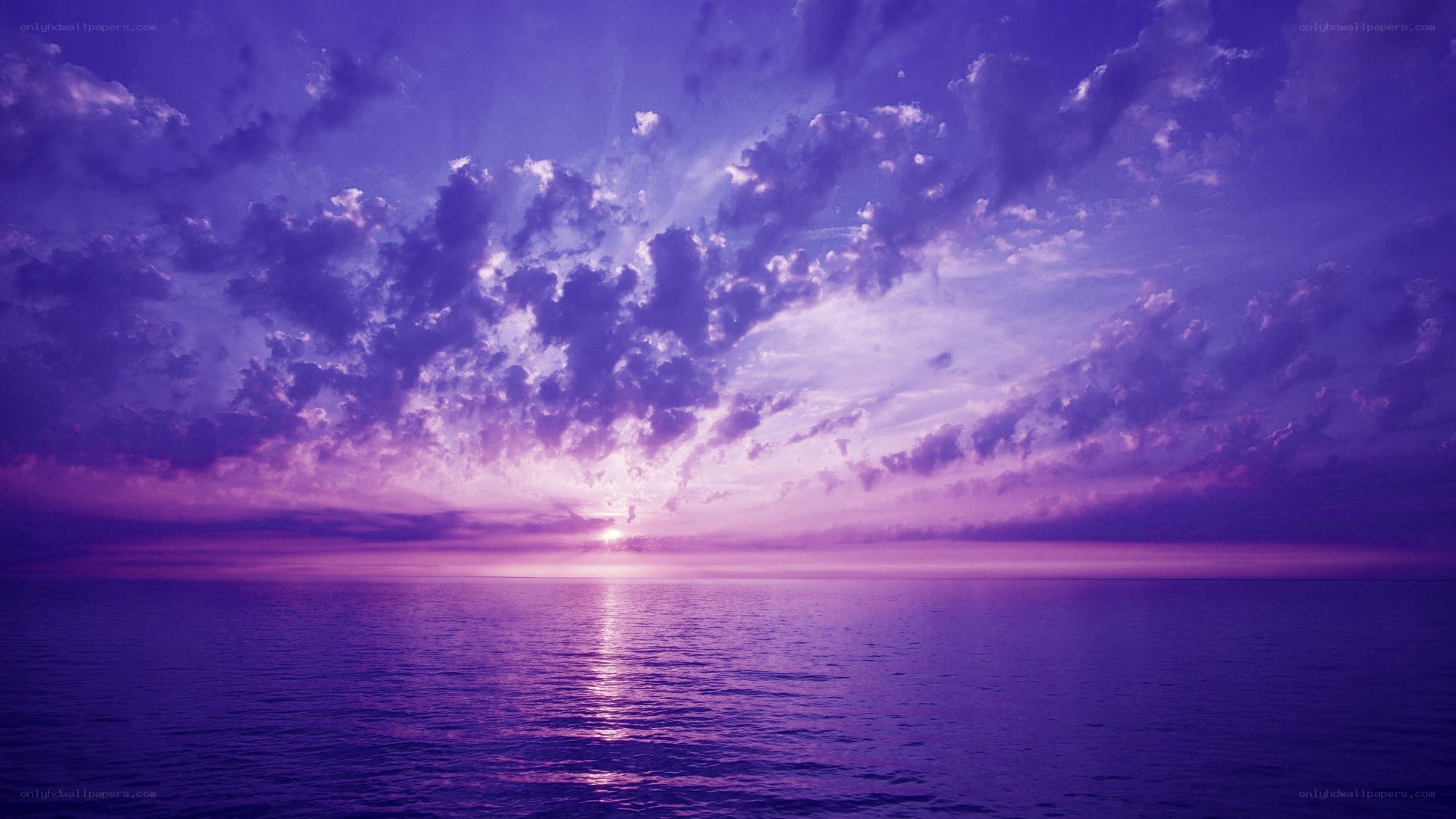Purple sunset over the ocean