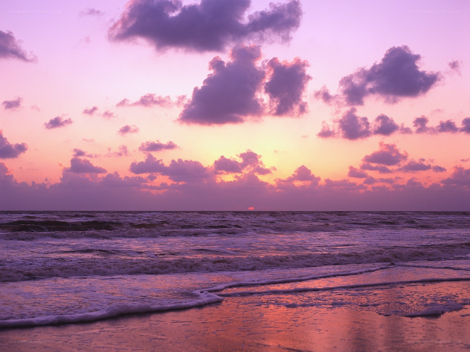 Purple sunset over the ocean