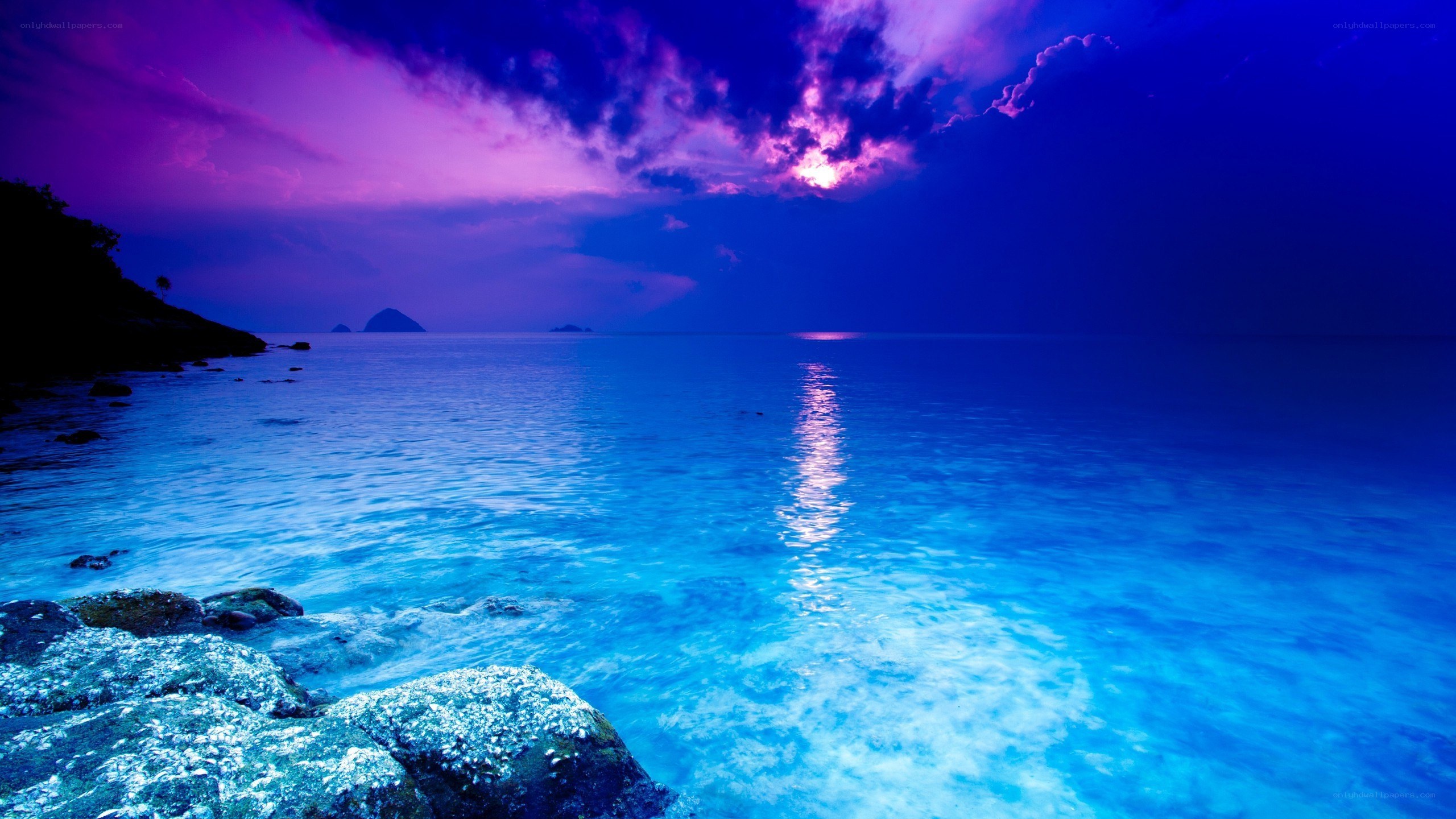 Purple sunset over the ocean