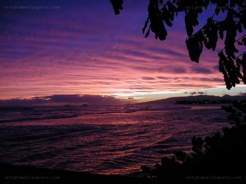 Purple sunset over the ocean