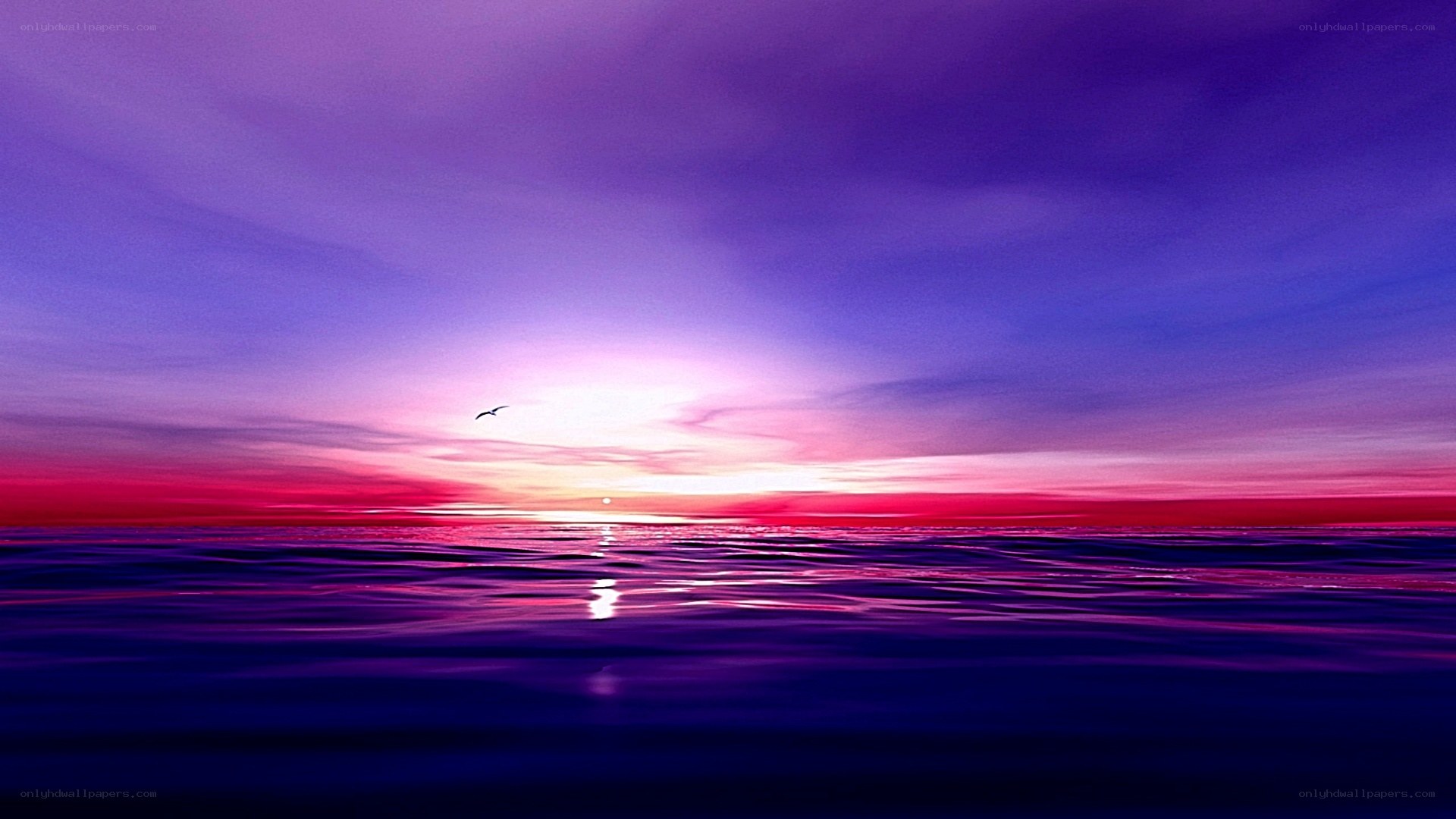 Purple sunset over the ocean