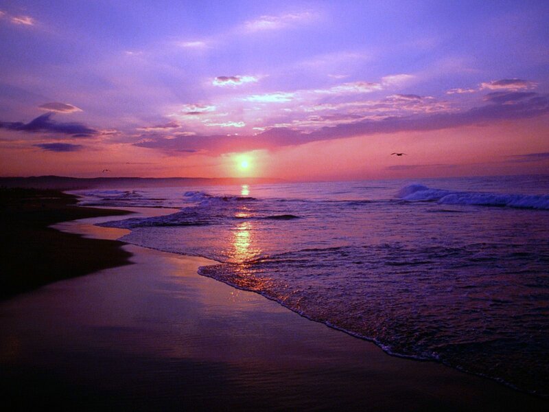 Purple sunset over the ocean
