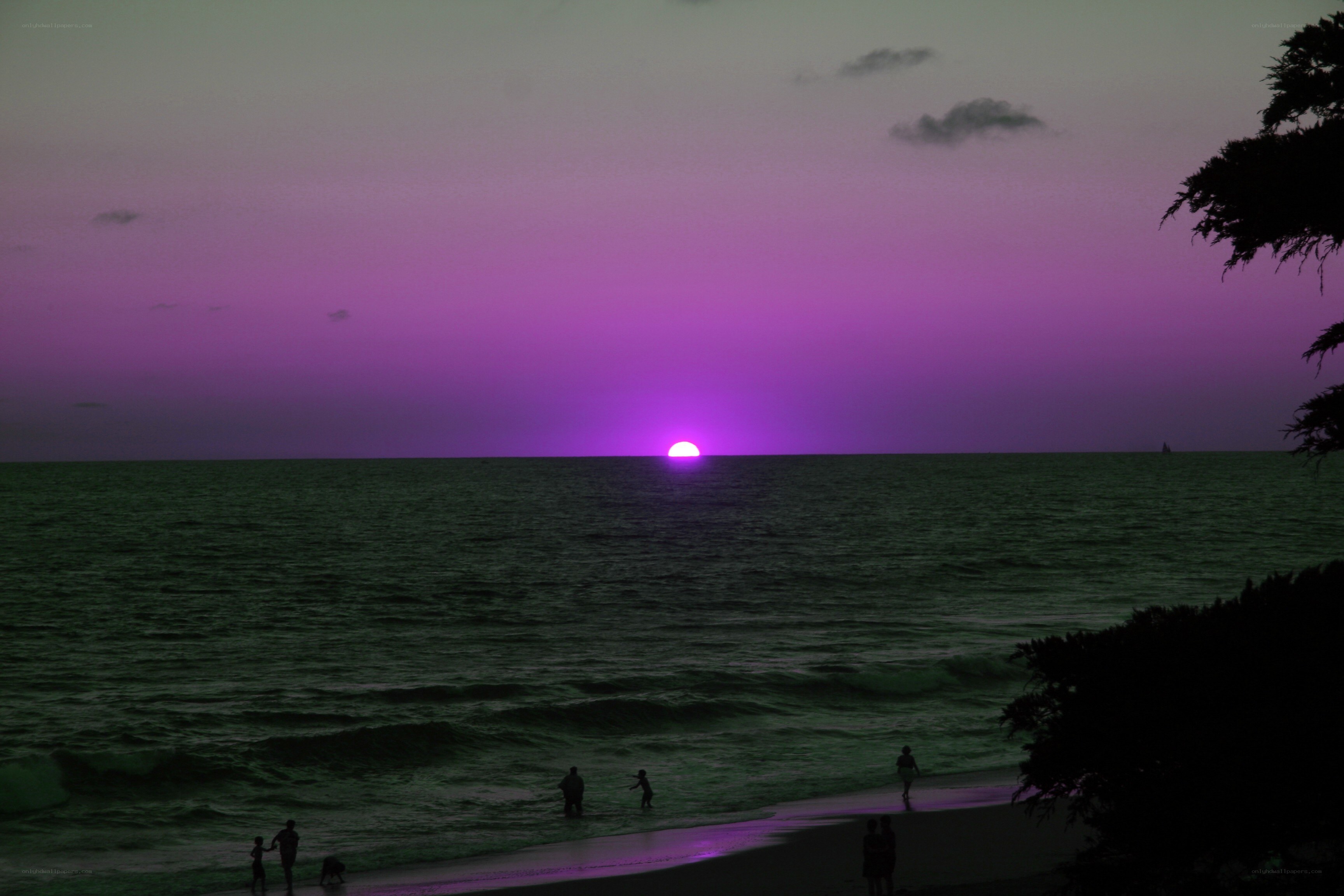 Purple sunset over the ocean