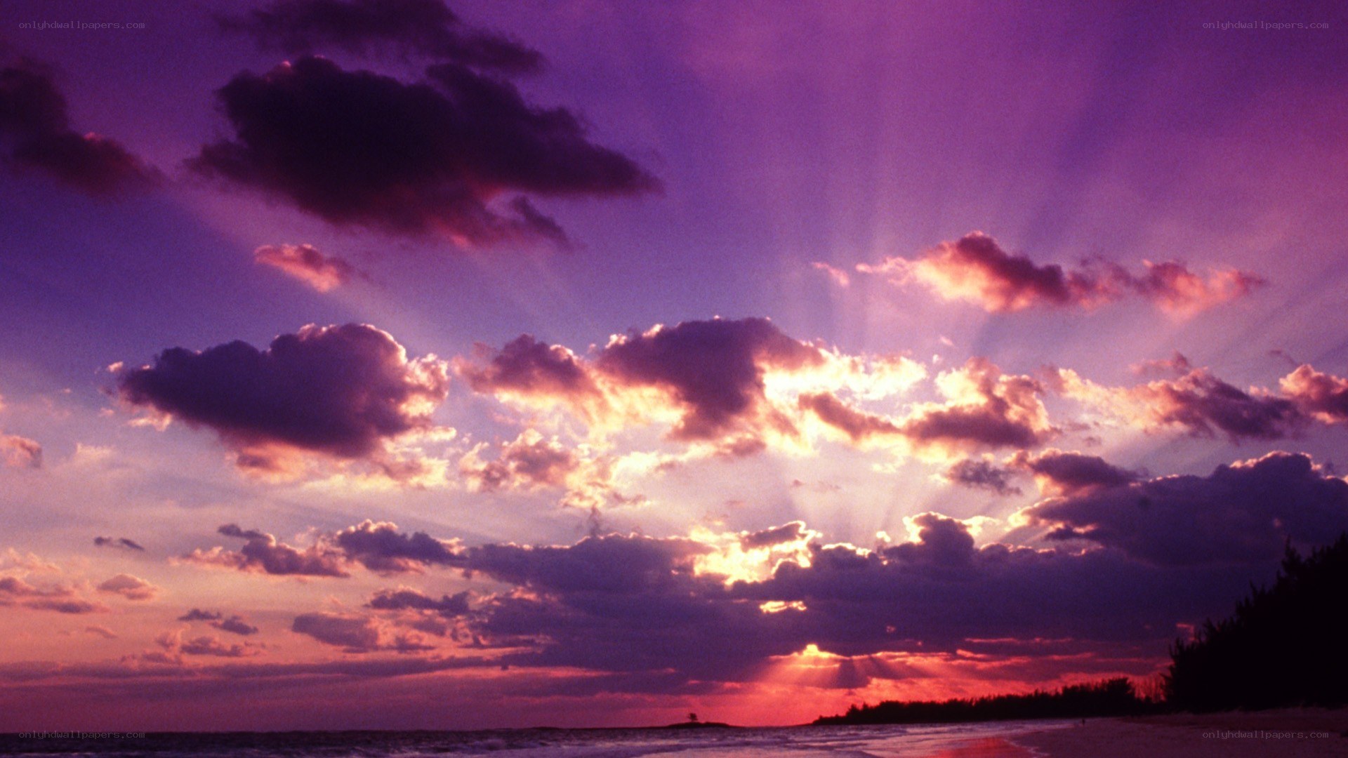 Purple sunset over the ocean