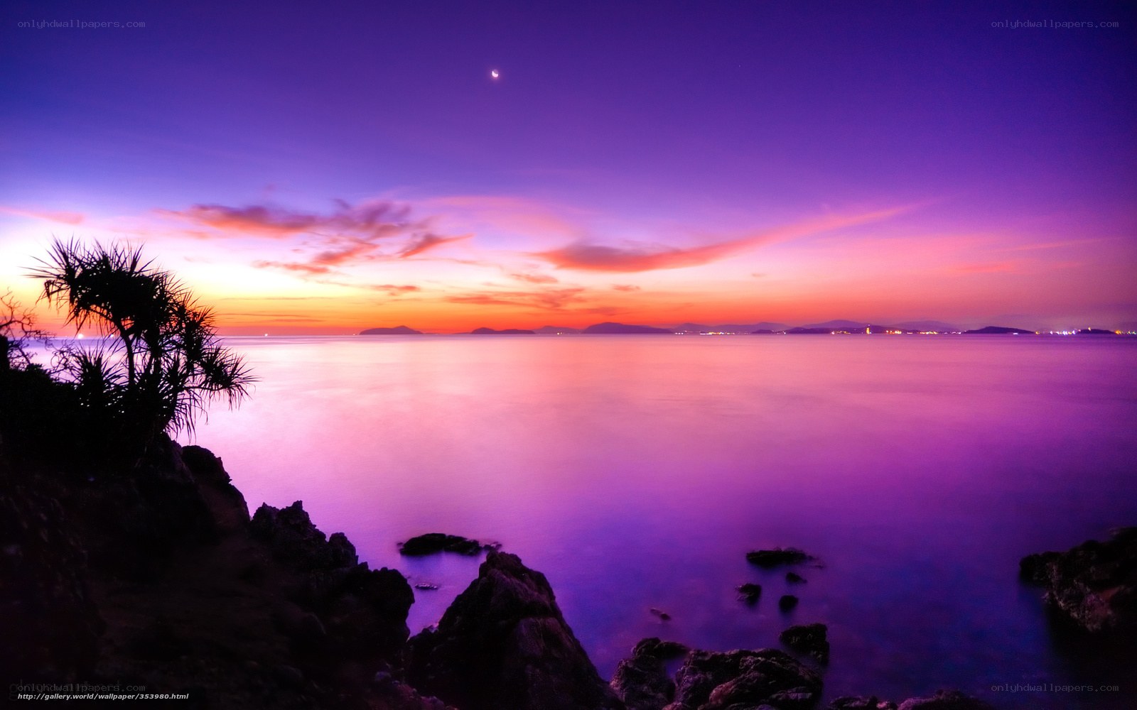 Purple sunset over the sea