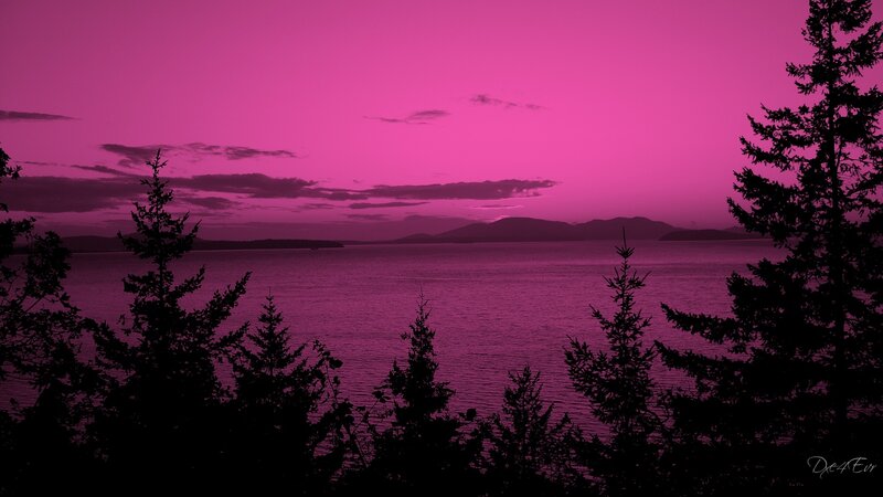 purple sunset over the water