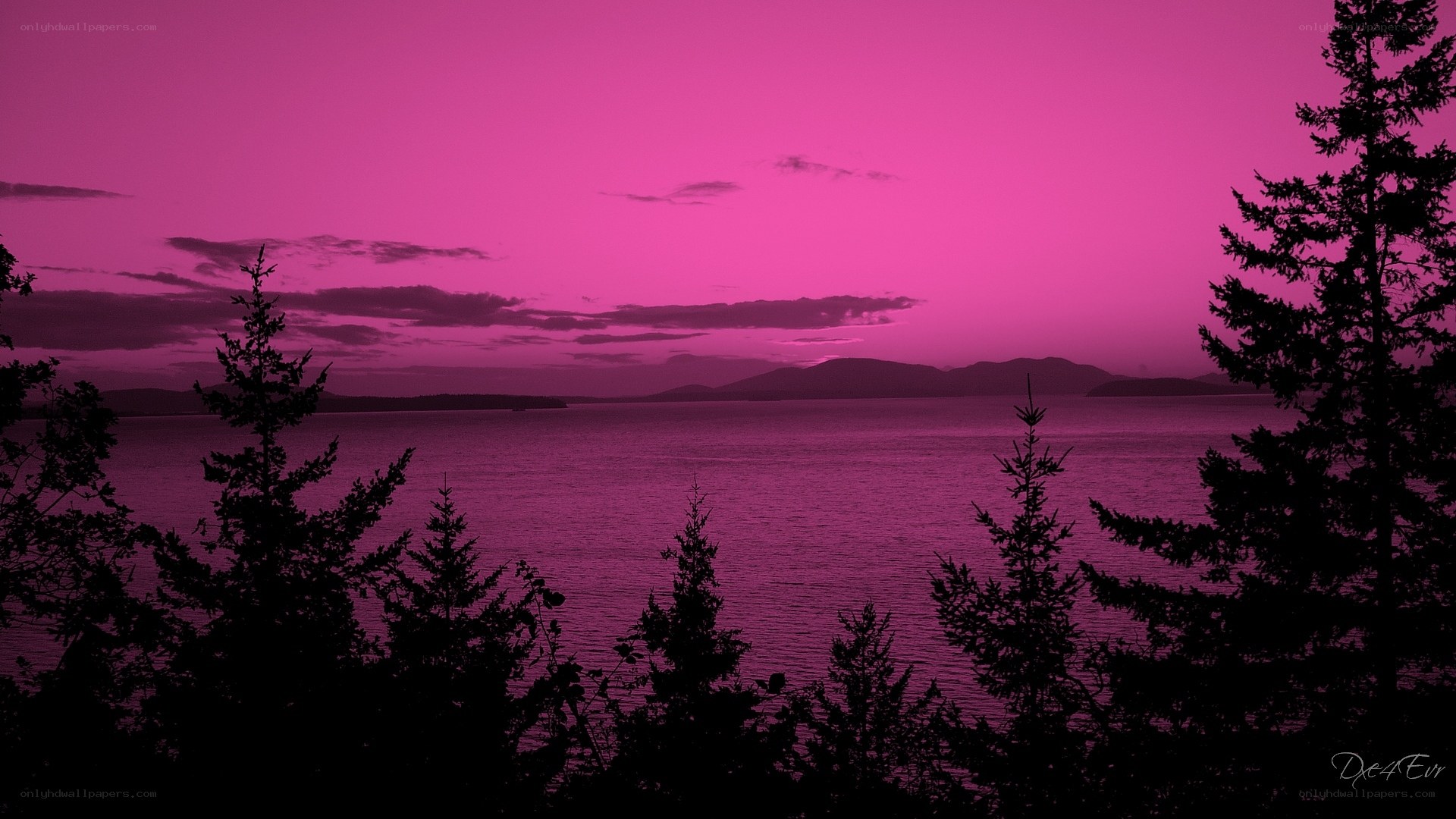 purple sunset over the water