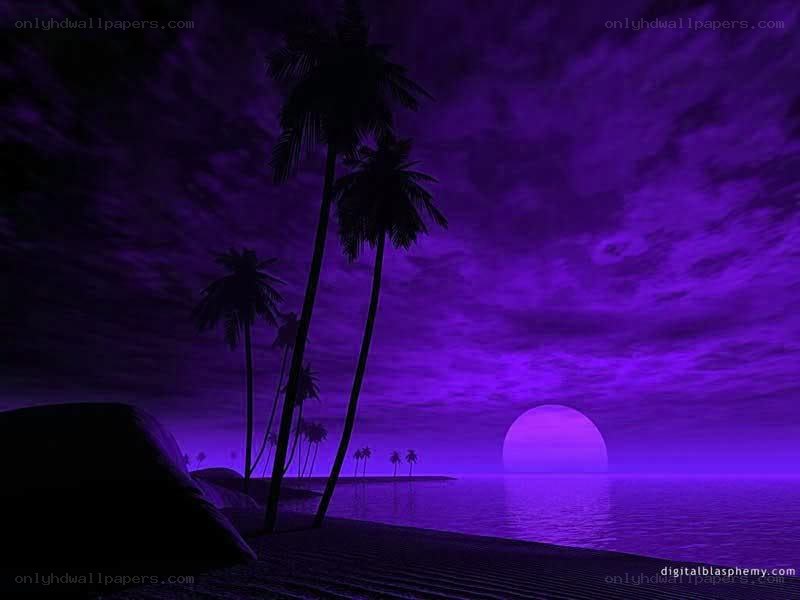 Purple sunset over tropical beach