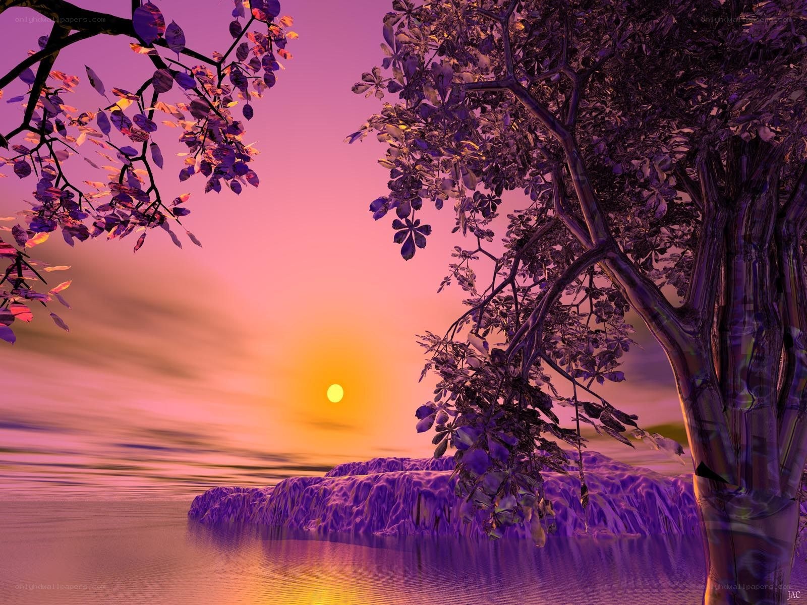 Purple sunset over water