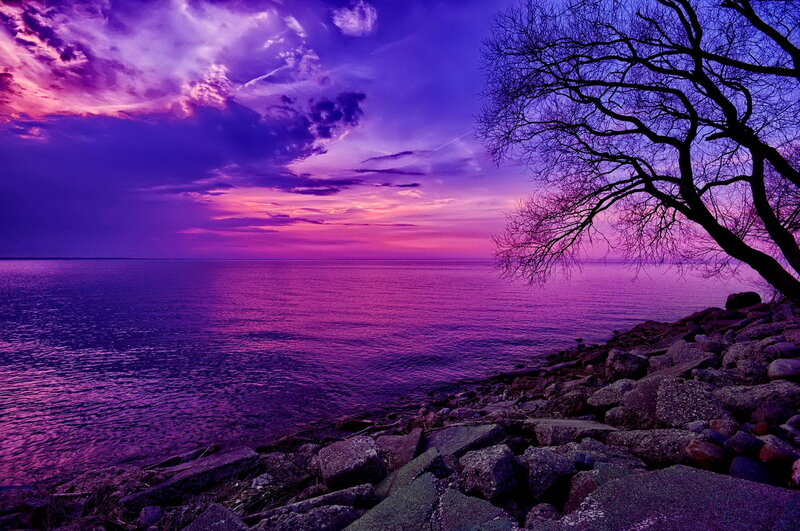 Purple Sunset over Water — Dramatic, Photograph, Tree