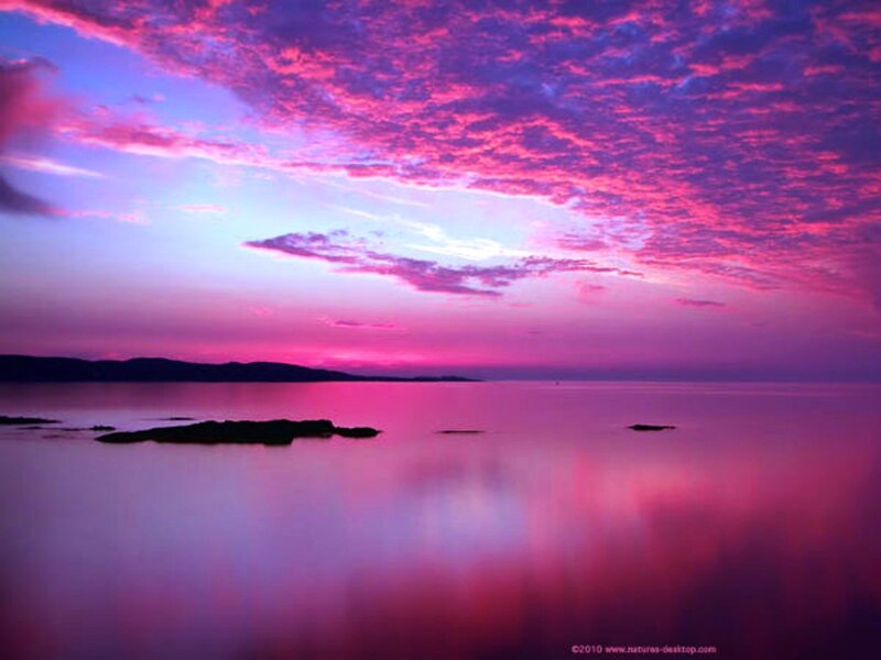 Purple Sunset over Water — Pink, Serene