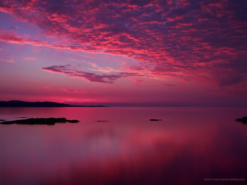 Purple Sunset over Water — Pink