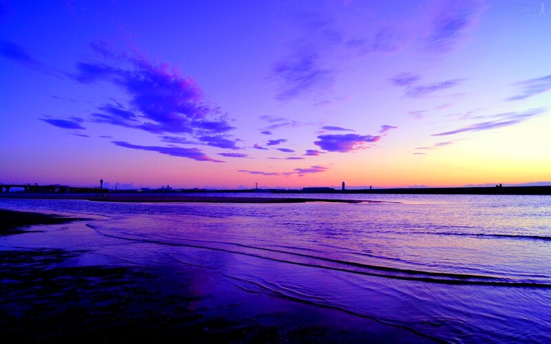 Purple Sunset over Water — Serene