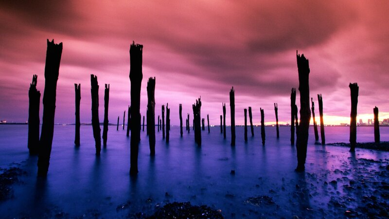 Purple sunset over wooden posts
