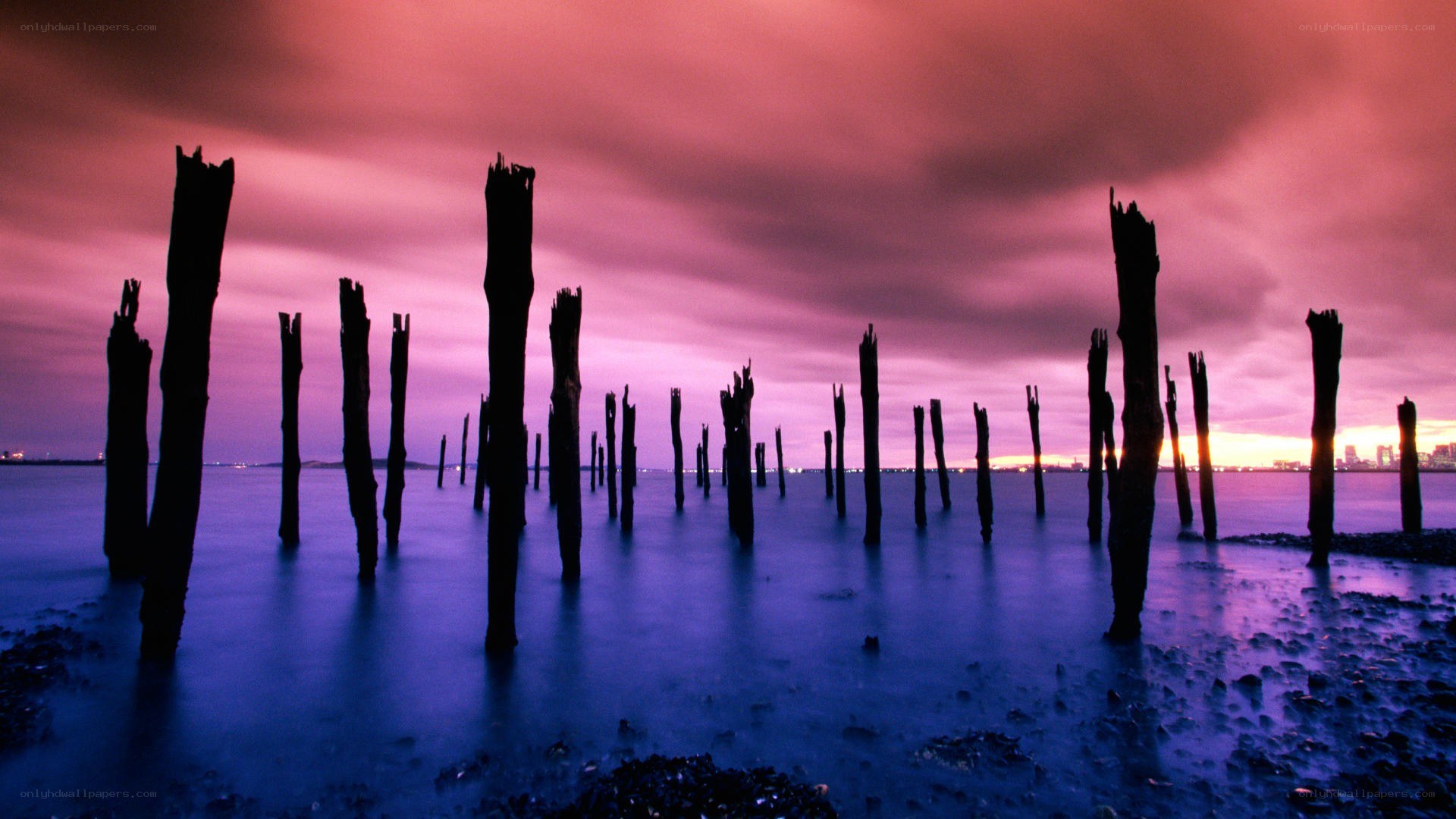 Purple sunset over wooden posts