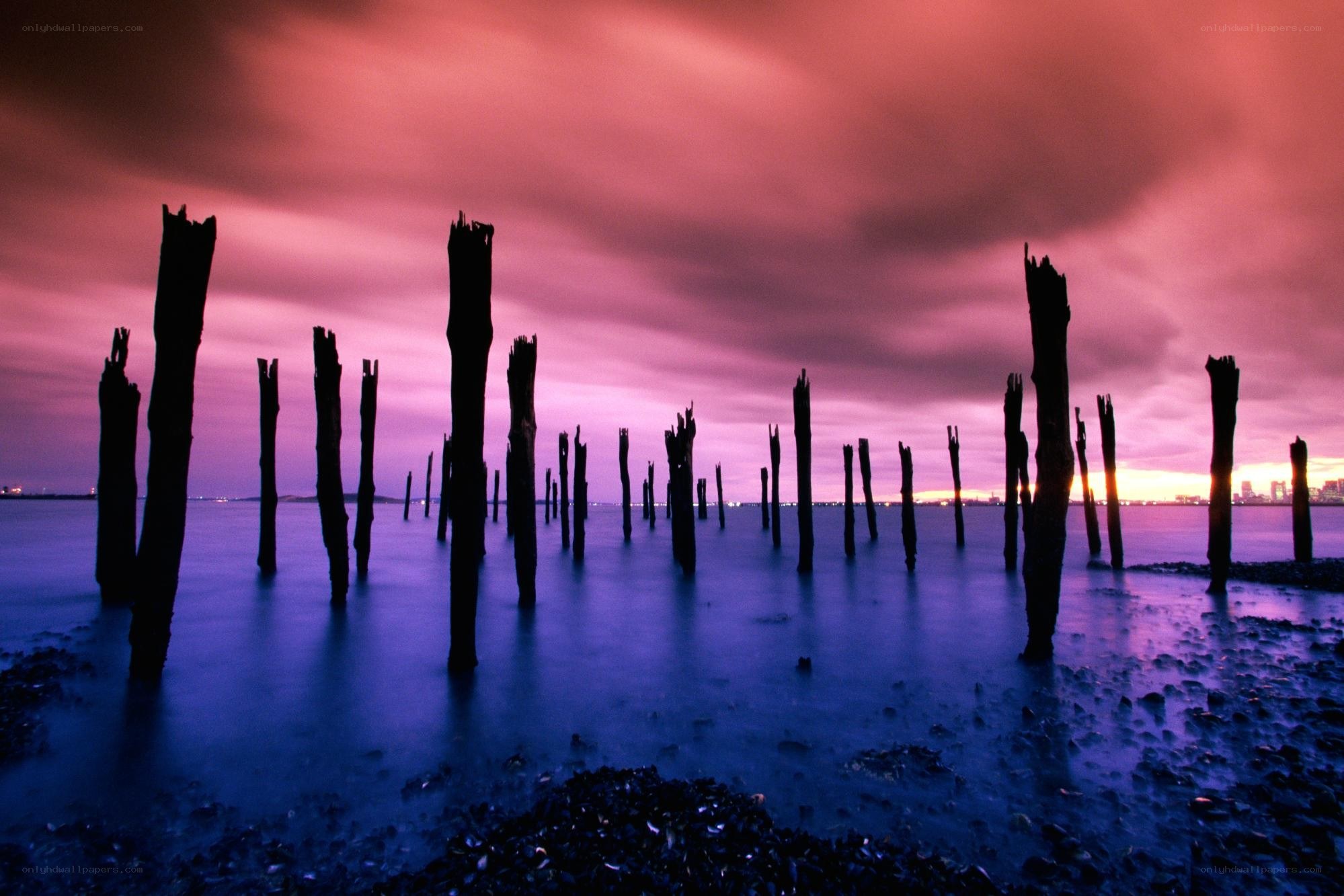 Purple sunset over wooden posts