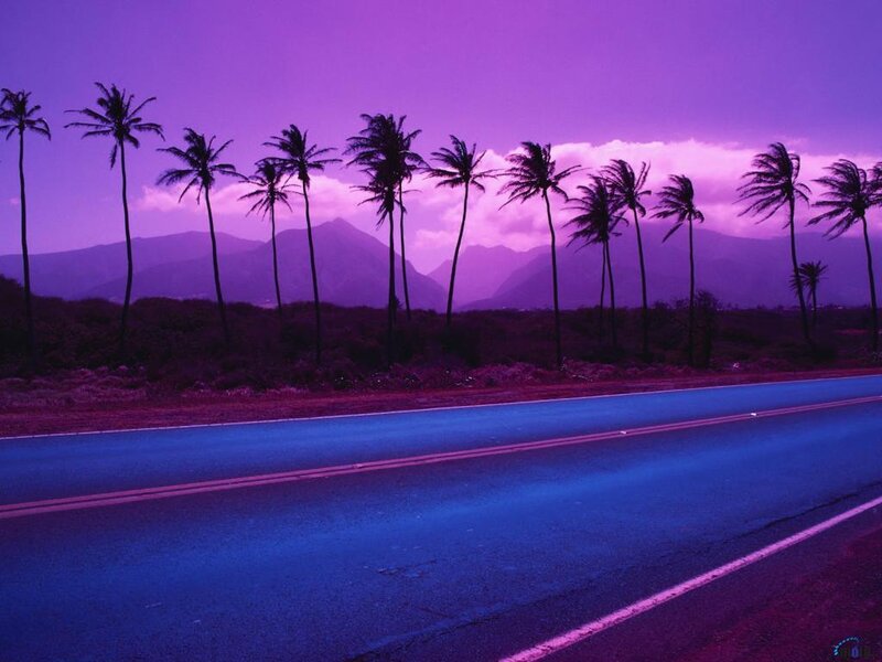 Purple sunset road with palm trees