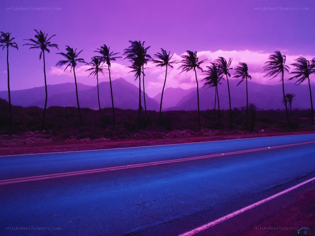 Purple sunset road with palm trees