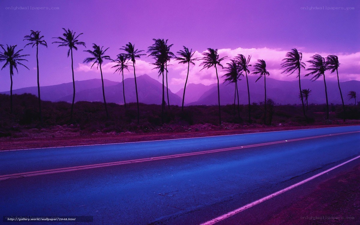Purple sunset road with palm trees
