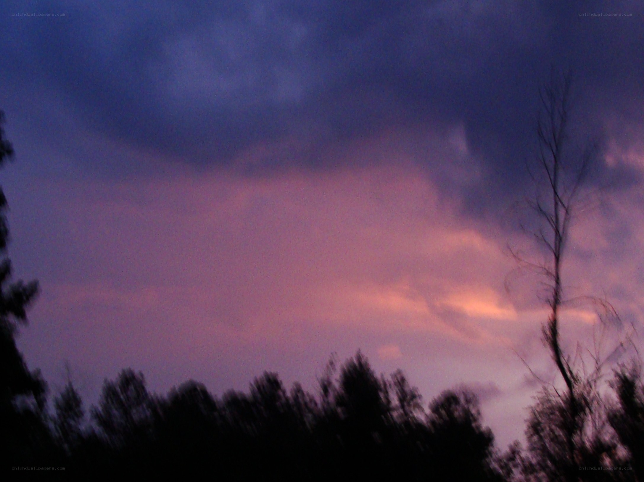purple sunset sky