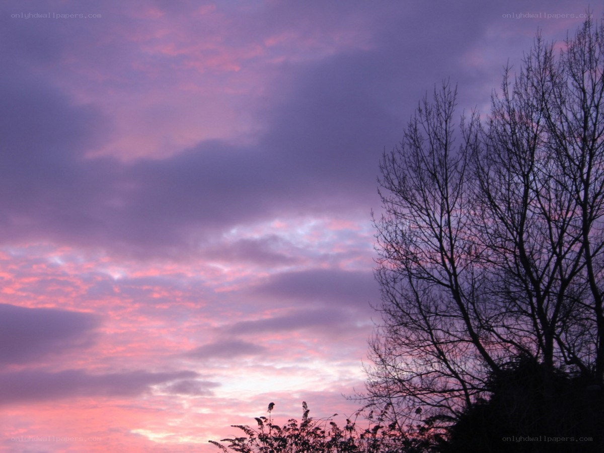 purple sunset sky