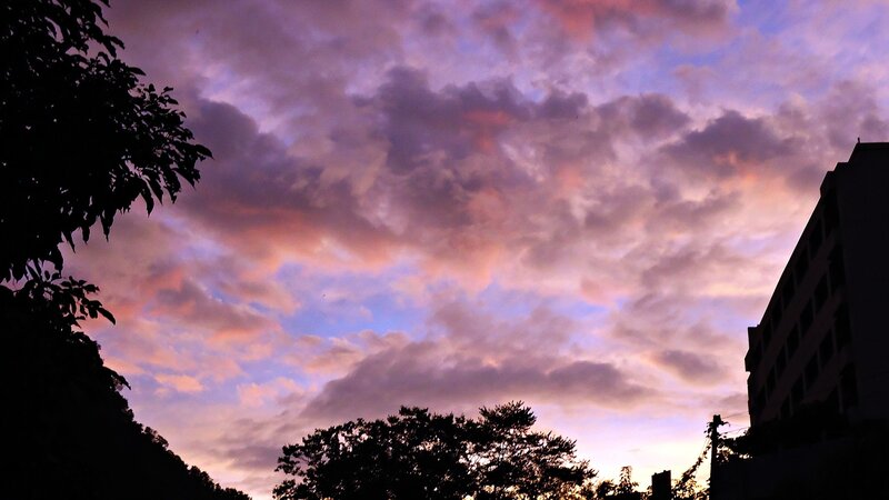 Purple Sunset Sky — Dramatic, Photograph, Clouds, Trees, Building