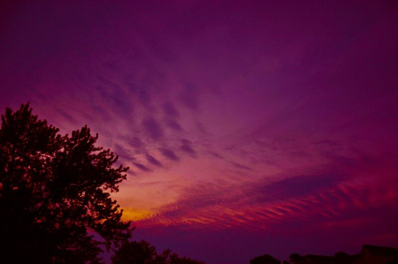 Purple Sunset Sky — Dramatic, Photograph, Trees, Clouds