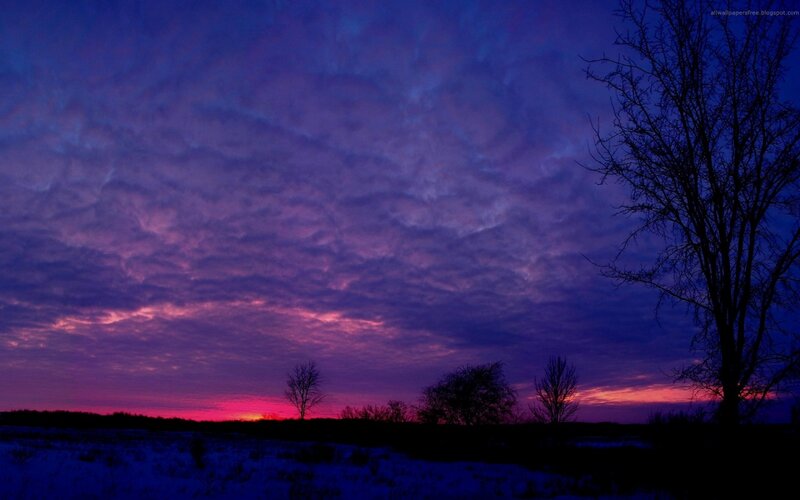 Purple Sunset Sky — Dramatic, Photograph, Trees