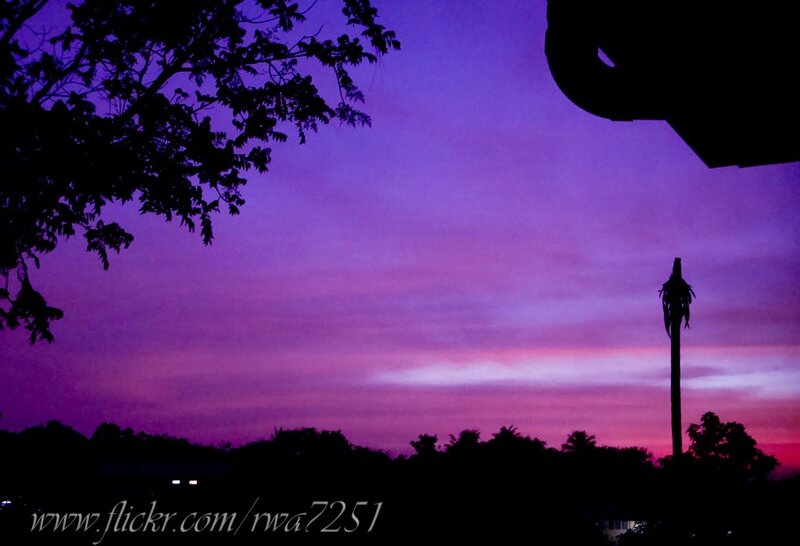 Purple sunset sky