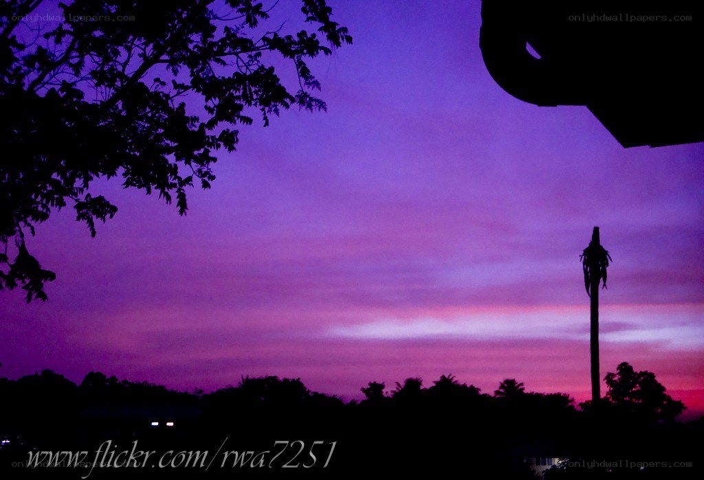 Purple sunset sky
