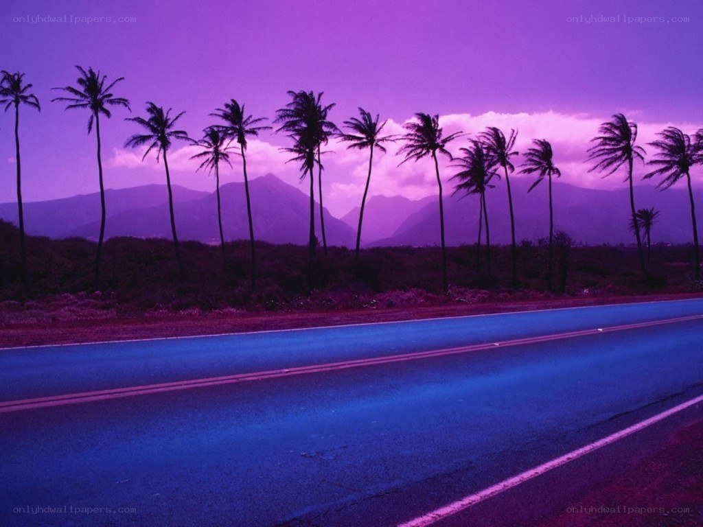 purple sunset with palm trees