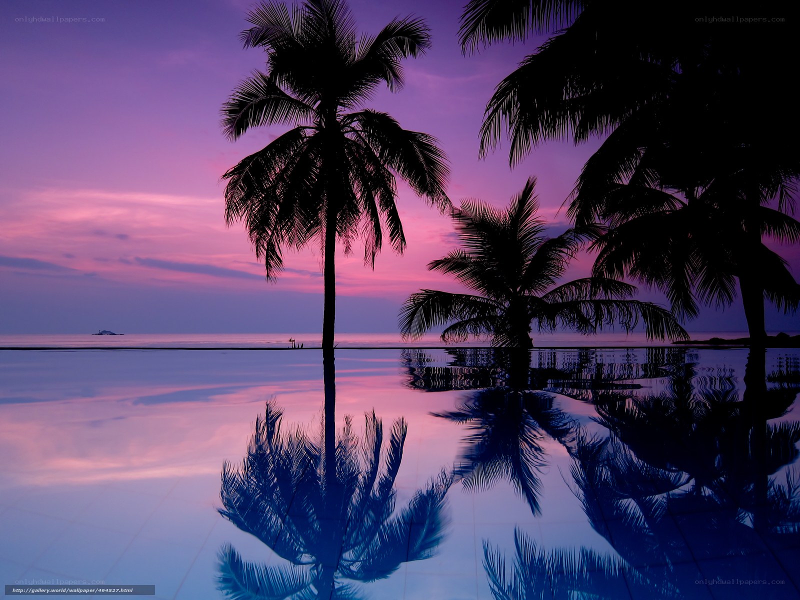 Purple sunset with palm trees