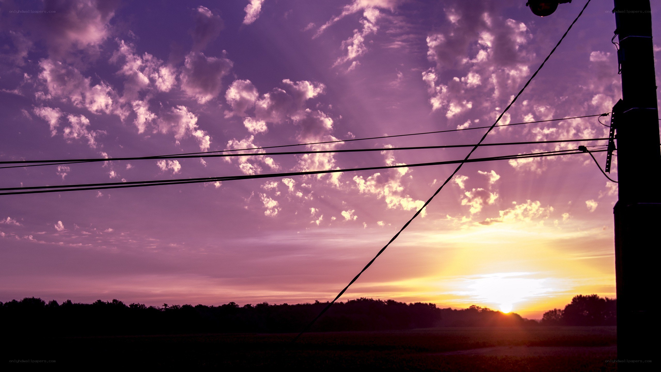 Purple sunset with power lines